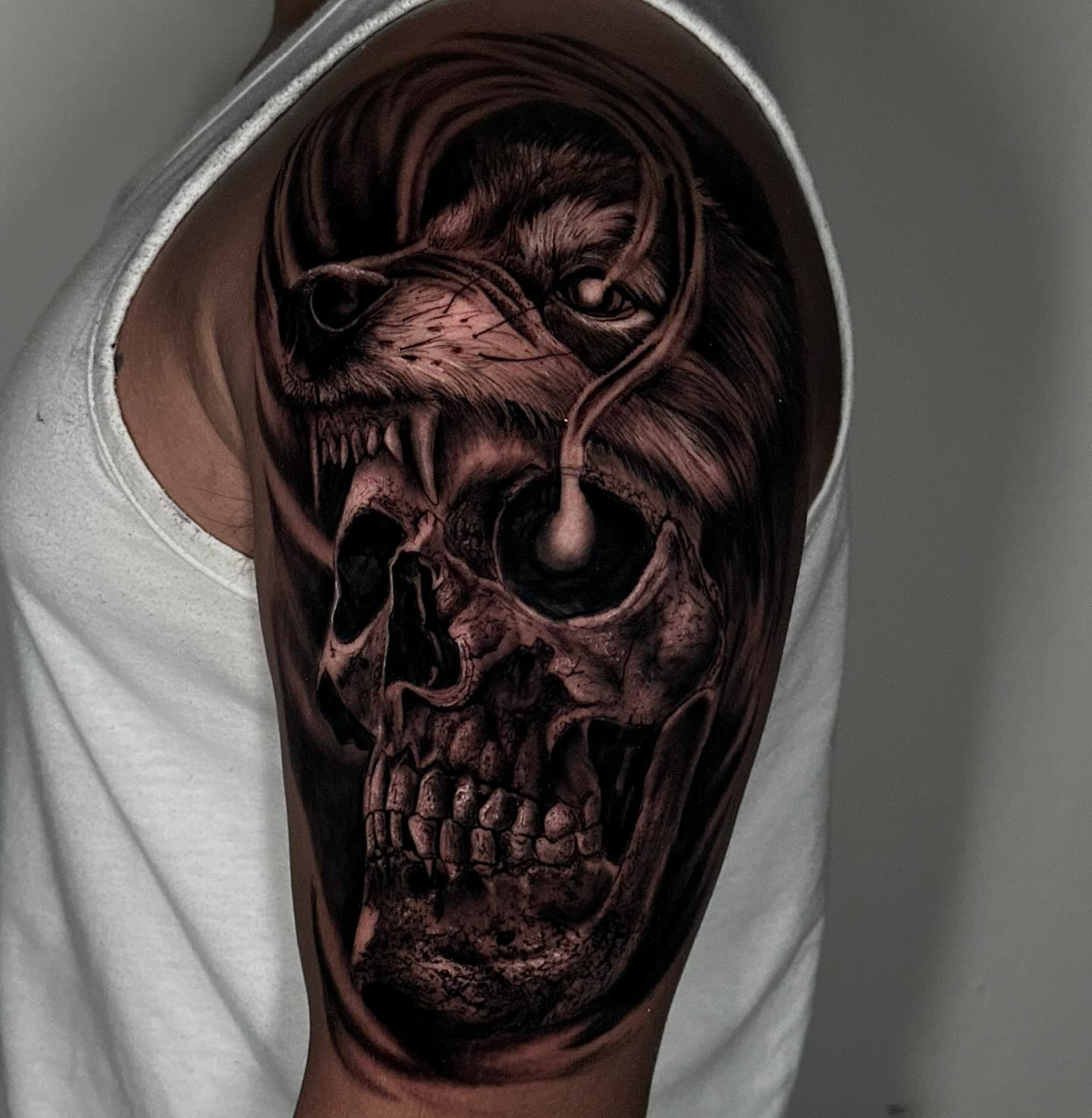 Wolf Skull