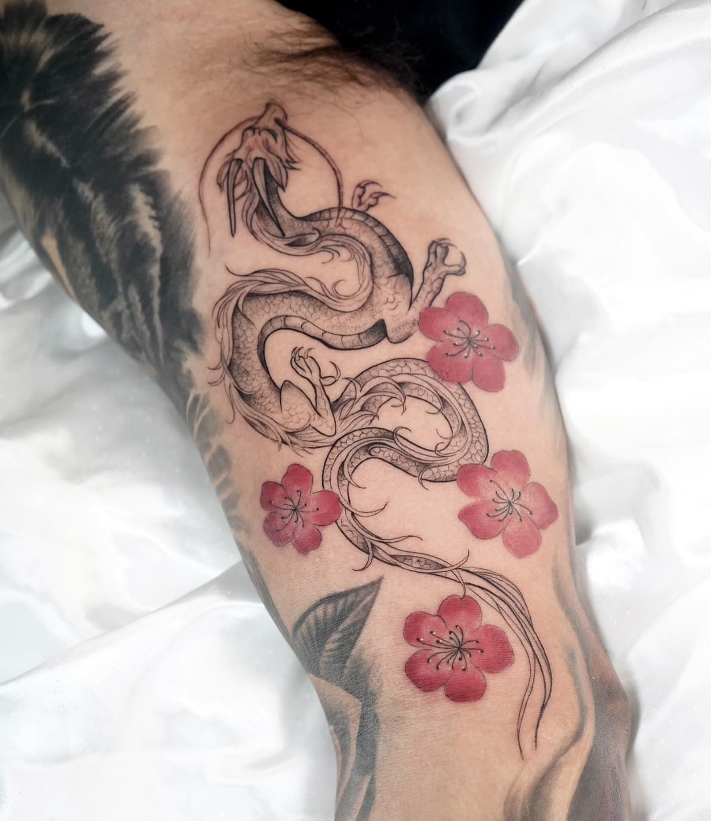 Dragon & Cherry Blossoms