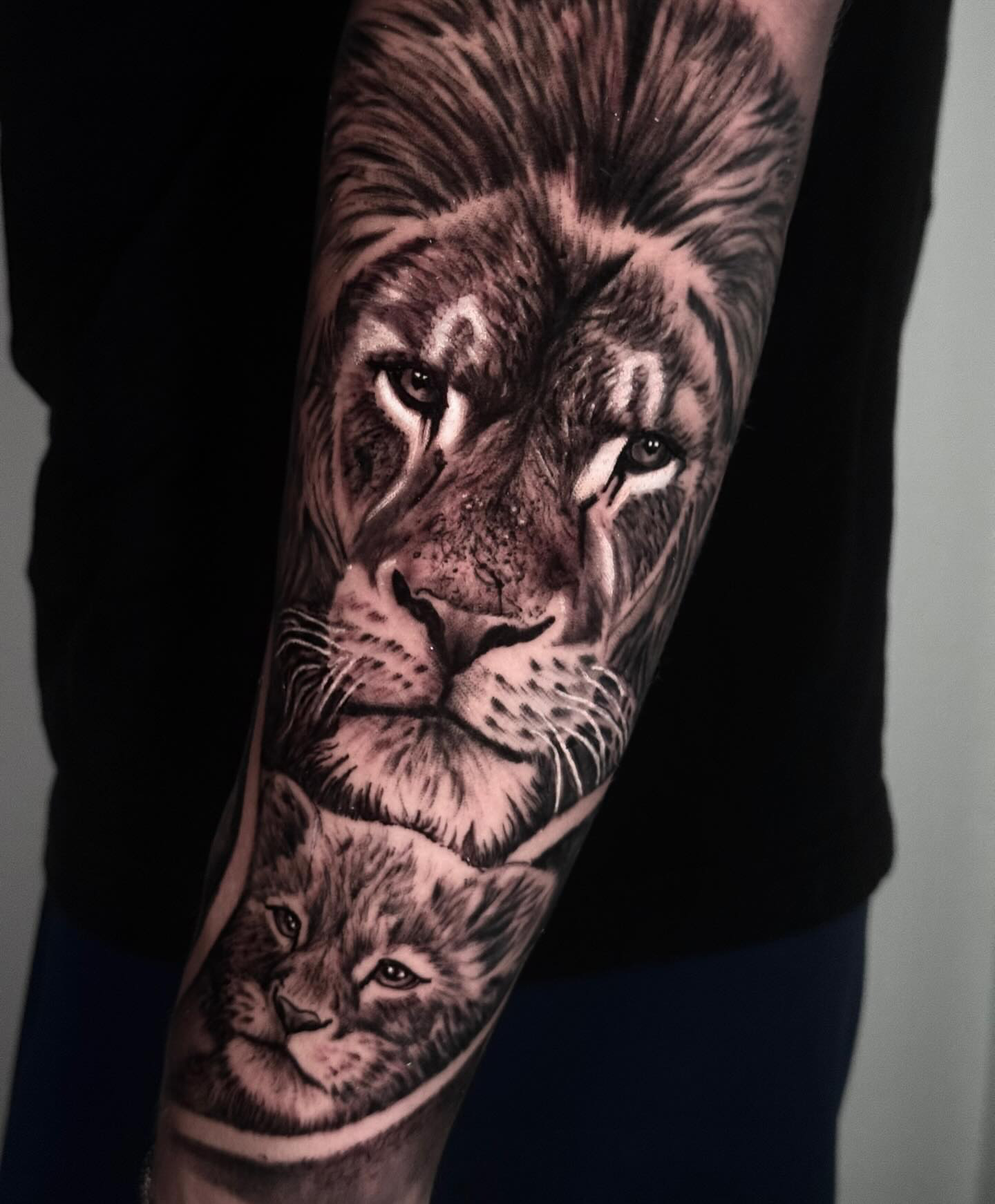 Lion & Cub