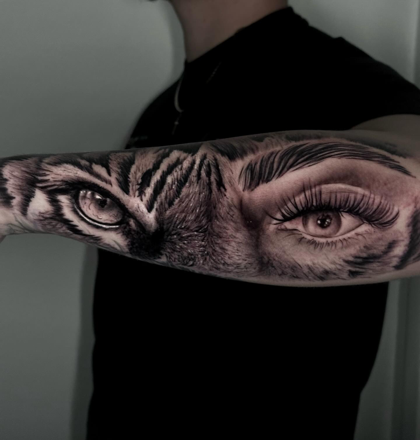Tiger Eye & Human Eye