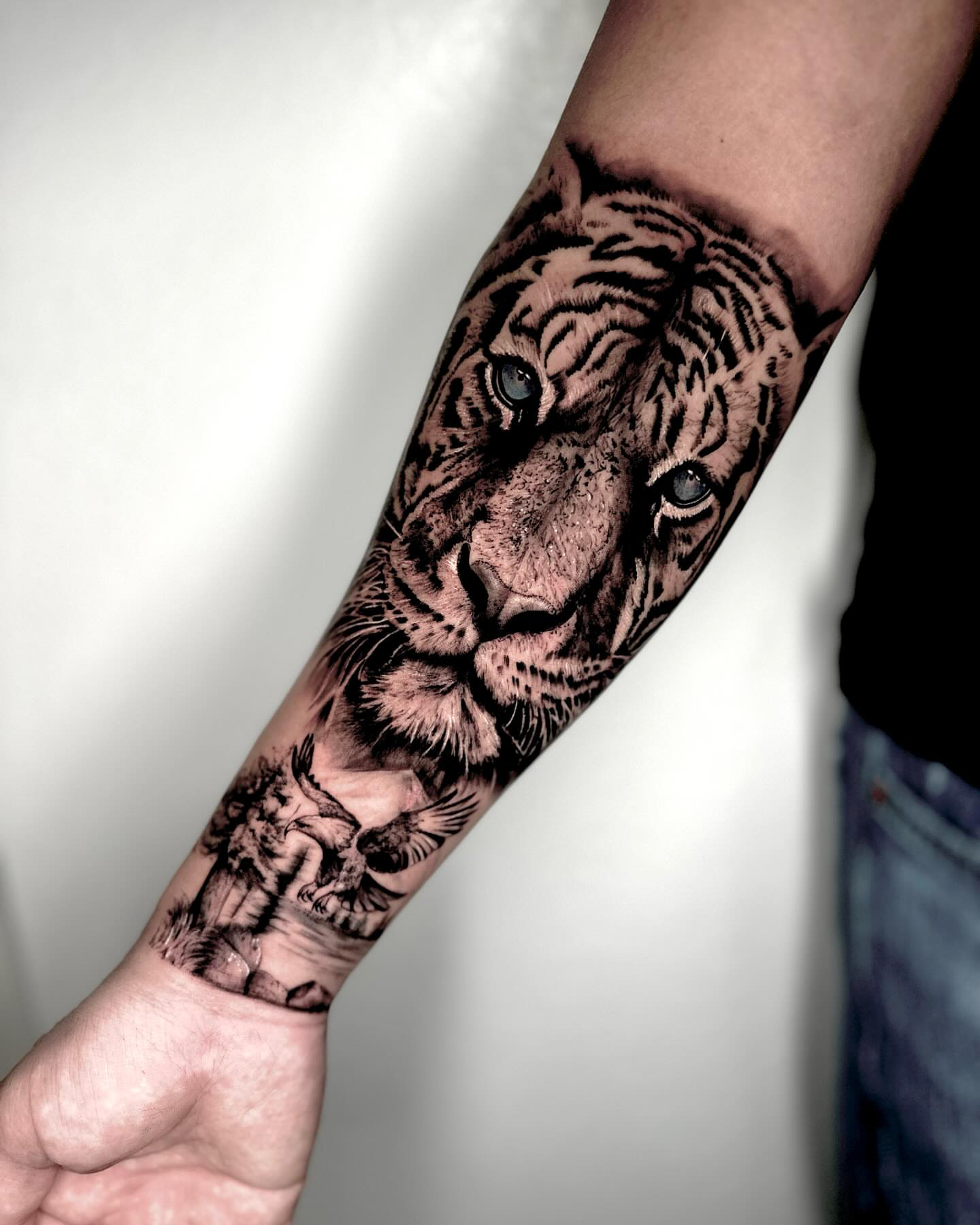 realism-animal-tiger-eagles.jpg